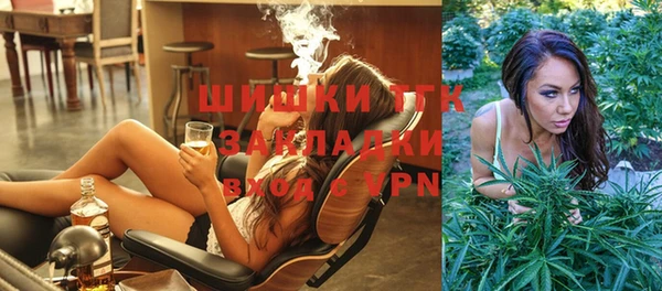 сатива Алзамай